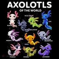 Axolotl Kawaii Axolotls Of The World Axolotl Animals Performance Shirt
