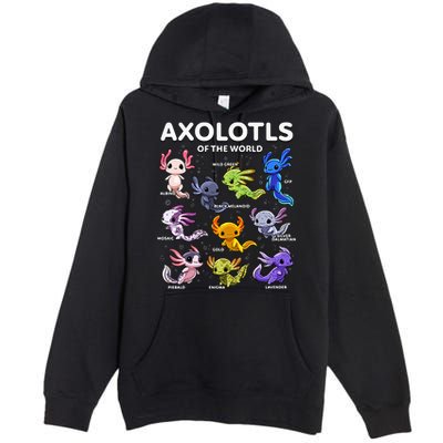 Axolotl Kawaii Axolotls Of The World Axolotl Animals Premium Pullover Hoodie