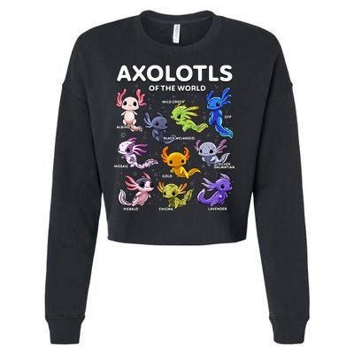 Axolotl Kawaii Axolotls Of The World Axolotl Animals Cropped Pullover Crew
