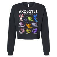 Axolotl Kawaii Axolotls Of The World Axolotl Animals Cropped Pullover Crew