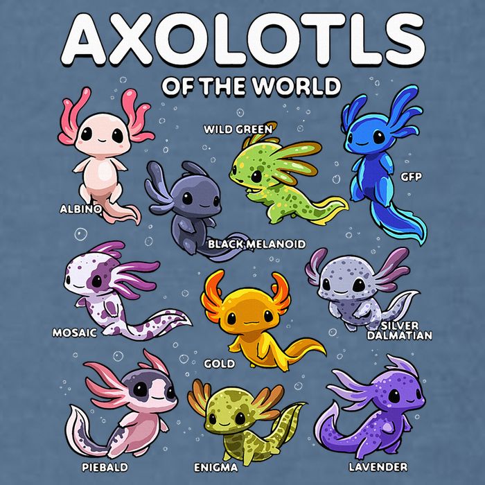 Axolotl Kawaii Axolotls Of The World Axolotl Animals Garment-Dyed Sweatshirt