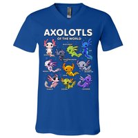 Axolotl Kawaii Axolotls Of The World Axolotl Animals V-Neck T-Shirt