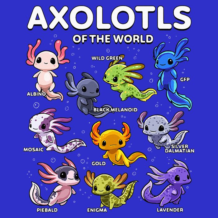 Axolotl Kawaii Axolotls Of The World Axolotl Animals Button