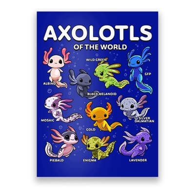 Axolotl Kawaii Axolotls Of The World Axolotl Animals Poster