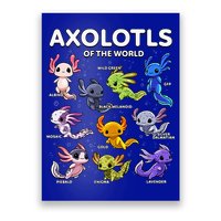Axolotl Kawaii Axolotls Of The World Axolotl Animals Poster