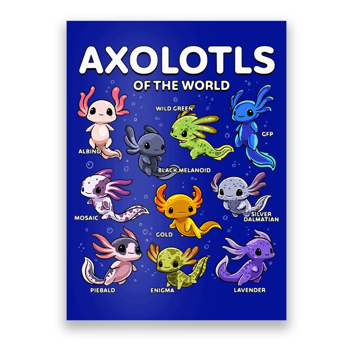 Axolotl Kawaii Axolotls Of The World Axolotl Animals Poster