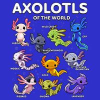 Axolotl Kawaii Axolotls Of The World Axolotl Animals Poster