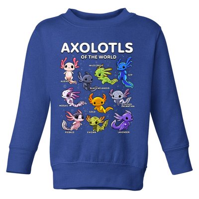 Axolotl Kawaii Axolotls Of The World Axolotl Animals Toddler Sweatshirt