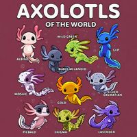 Axolotl Kawaii Axolotls Of The World Axolotl Animals 16oz Travel Tumbler