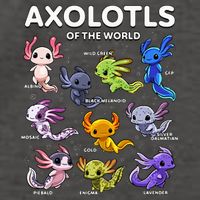 Axolotl Kawaii Axolotls Of The World Axolotl Animals Vector Backpack