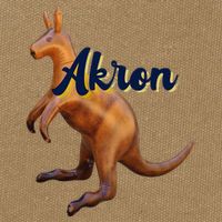 Akron Kangaroo Fun Retro Zips Cotton Canvas Backpack