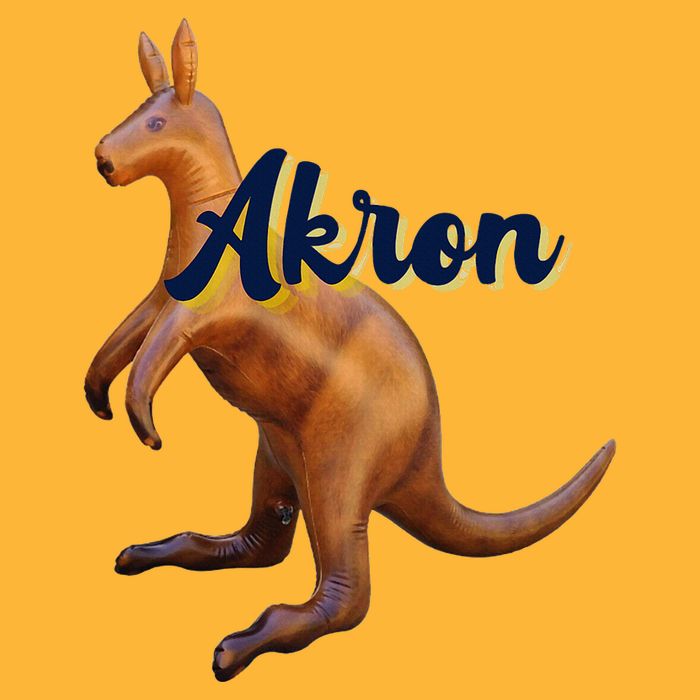 Akron Kangaroo Fun Retro Zips Pom Pom 12in Knit Beanie