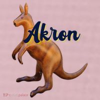 Akron Kangaroo Fun Retro Zips 25L Jumbo Tote