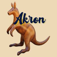 Akron Kangaroo Fun Retro Zips Bag