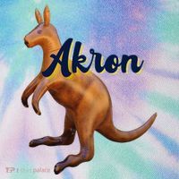 Akron Kangaroo Fun Retro Zips Legacy Tie Dye Trucker Hat