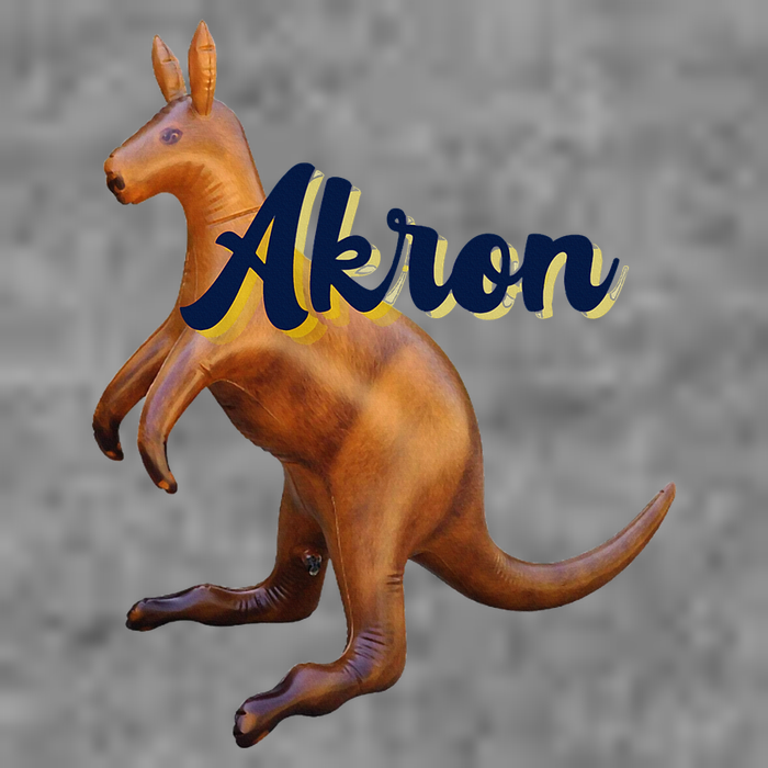 Akron Kangaroo Fun Retro Zips Toddler Sweatshirt