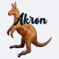 Akron Kangaroo Fun Retro Zips Sueded Cloud Jersey T-Shirt