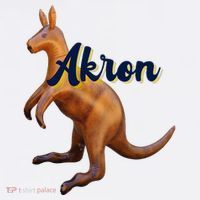 Akron Kangaroo Fun Retro Zips Mesh Reversible Basketball Jersey Tank