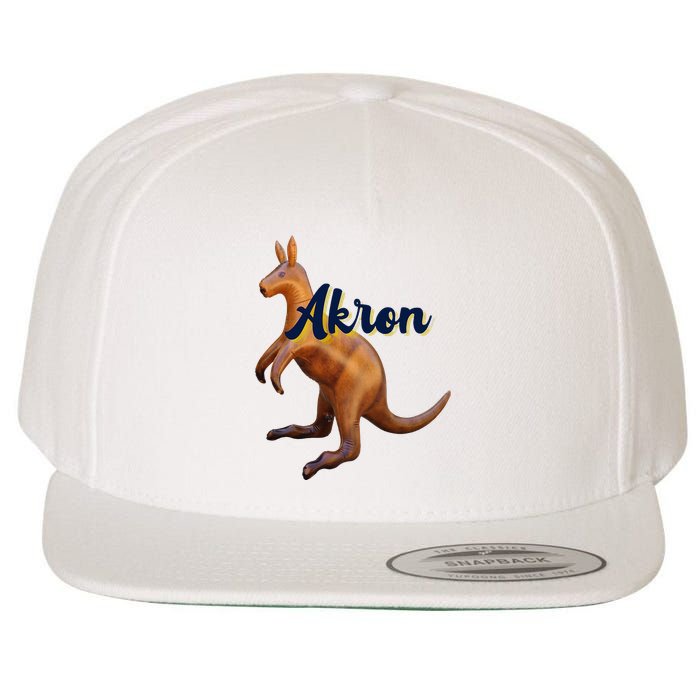 Akron Kangaroo Fun Retro Zips Wool Snapback Cap