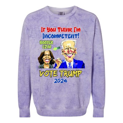 Anti Kamala Harris 2024 Border Czar Incompetent Vote Trump Colorblast Crewneck Sweatshirt