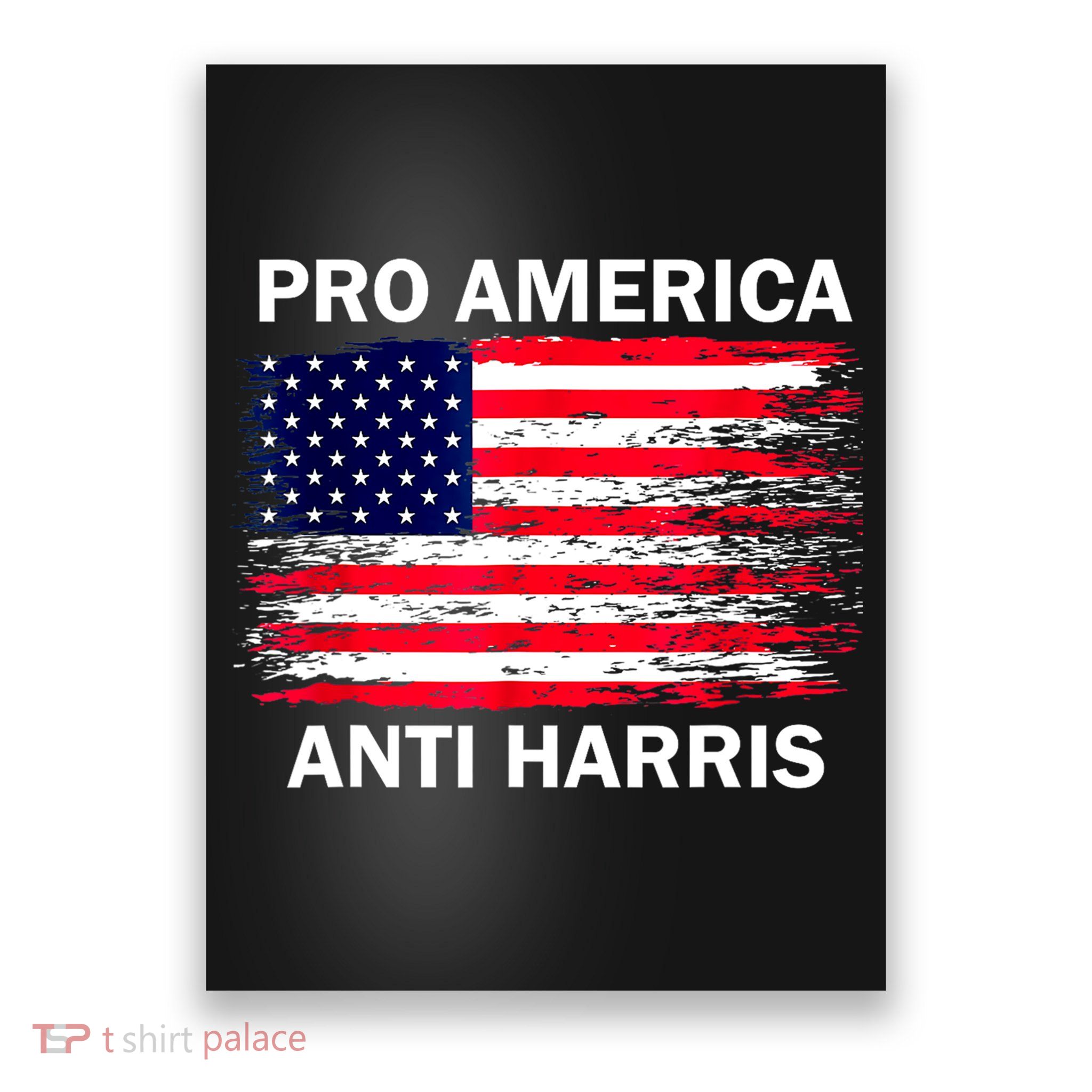 Anti Kamala Harris Pro America Flag Kamala Harris Gift Poster
