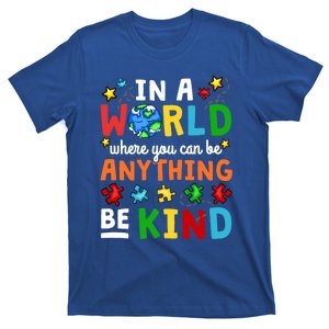 Autism Kindness Inspirational Be Kind Awareness Cute Gift T-Shirt