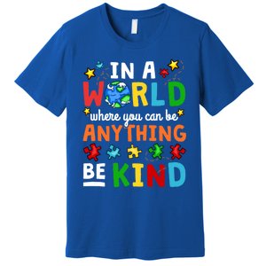 Autism Kindness Inspirational Be Kind Awareness Cute Gift Premium T-Shirt