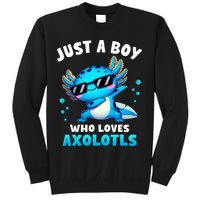 Axolotl Kawaii Just A Boy Who Loves Axolotls Dabbing Axolotl Sweatshirt