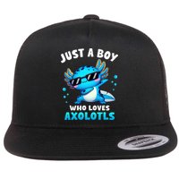 Axolotl Kawaii Just A Boy Who Loves Axolotls Dabbing Axolotl Flatbill Hat