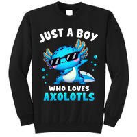 Axolotl Kawaii Just A Boy Who Loves Axolotls Dabbing Axolotl Tall Sweatshirt