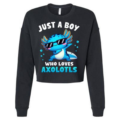 Axolotl Kawaii Just A Boy Who Loves Axolotls Dabbing Axolotl Cropped Pullover Crew