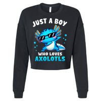 Axolotl Kawaii Just A Boy Who Loves Axolotls Dabbing Axolotl Cropped Pullover Crew
