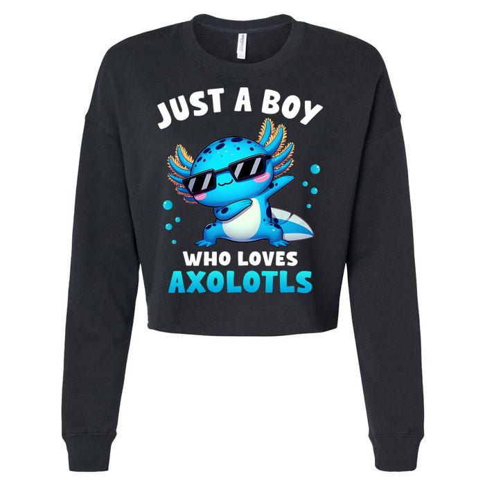 Axolotl Kawaii Just A Boy Who Loves Axolotls Dabbing Axolotl Cropped Pullover Crew
