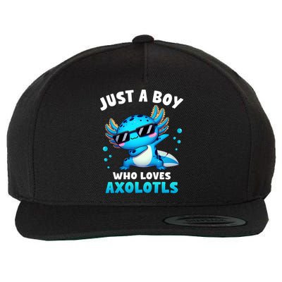 Axolotl Kawaii Just A Boy Who Loves Axolotls Dabbing Axolotl Wool Snapback Cap