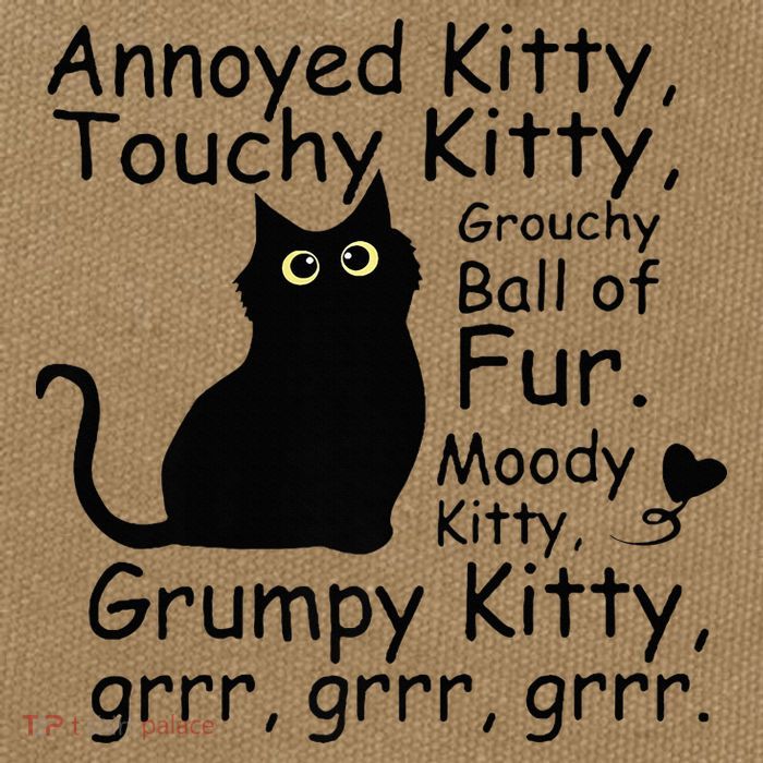 Annoyed Kitty Touchy Kitty Grouchy Ball Of Fur Black Cat Cotton Canvas Backpack