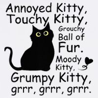 Annoyed Kitty Touchy Kitty Grouchy Ball Of Fur Black Cat Cooling Performance Crew T-Shirt