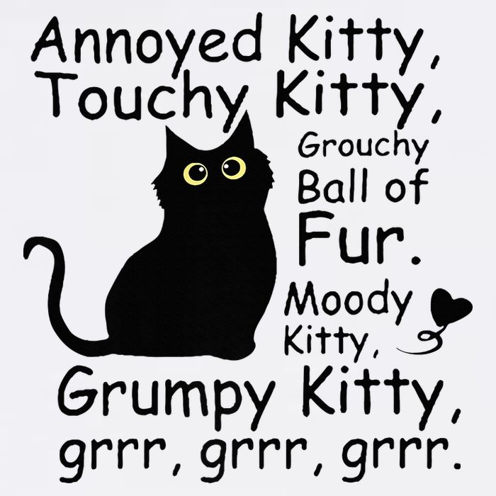 Annoyed Kitty Touchy Kitty Grouchy Ball Of Fur Black Cat Cooling Performance Crew T-Shirt