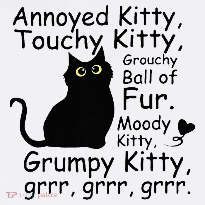 Annoyed Kitty Touchy Kitty Grouchy Ball Of Fur Black Cat Sustainable Bucket Hat