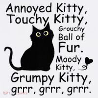 Annoyed Kitty Touchy Kitty Grouchy Ball Of Fur Black Cat Womens T-Shirt