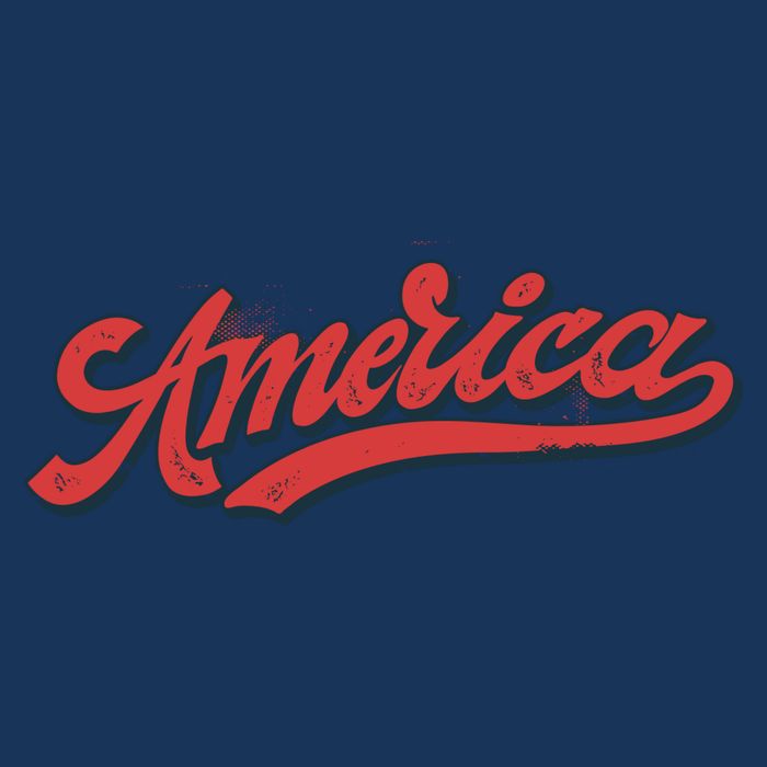 America Label 7 Panel Mesh Trucker Snapback Hat