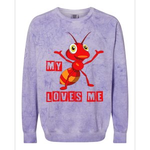 Ant Lovers_my Aunt Loves Me Family Gifts For Nephew & Niece Colorblast Crewneck Sweatshirt