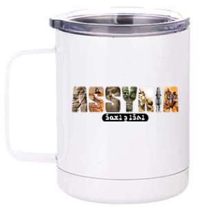 Assyria Land Assyrian Flag Assyrian Winged Bull Lamassu Funny Gift 12 oz Stainless Steel Tumbler Cup