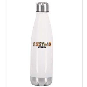 Assyria Land Assyrian Flag Assyrian Winged Bull Lamassu Funny Gift Stainless Steel Insulated Water Bottle