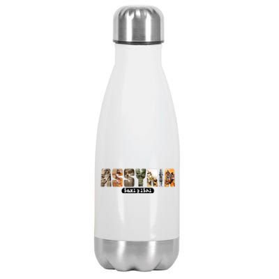 Assyria Land Assyrian Flag Assyrian Winged Bull Lamassu Funny Gift Stainless Steel Insulated Water Bottle