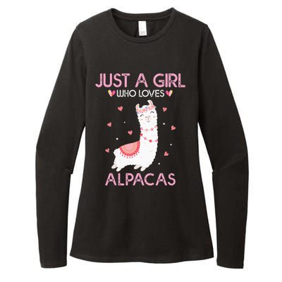 Alpaca Llama Animal Lover Gift Just A Who Loves Alpacas Womens CVC Long Sleeve Shirt