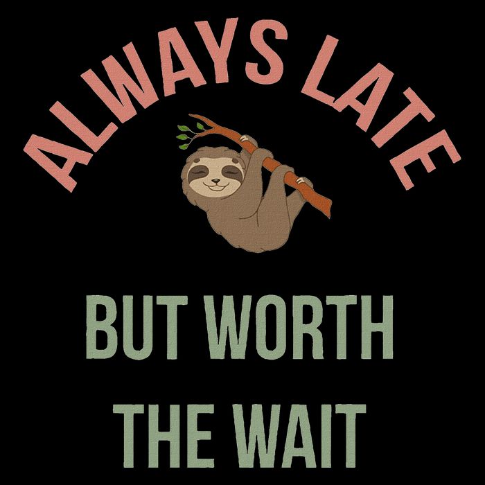Always Late But Worth The Wait Funny Sloth 7-Panel Snapback Hat