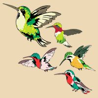 Animal Lover Birdwatching Beautiful Bird Hummingbird Zip Tote Bag