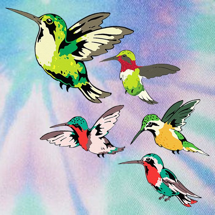 Animal Lover Birdwatching Beautiful Bird Hummingbird Legacy Tie Dye Trucker Hat