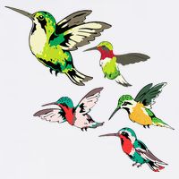 Animal Lover Birdwatching Beautiful Bird Hummingbird Cooling Performance Crew T-Shirt