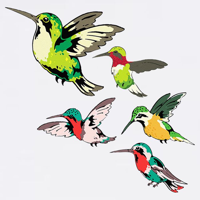 Animal Lover Birdwatching Beautiful Bird Hummingbird Cooling Performance Crew T-Shirt